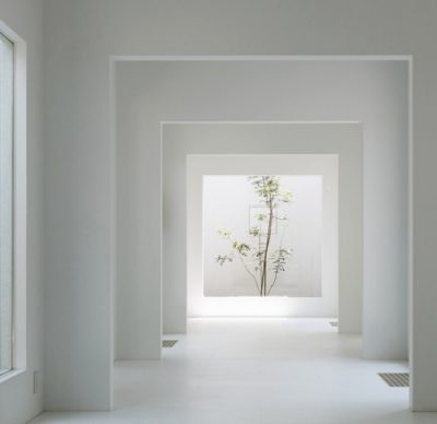 Project Louise: Beginning To See The Light