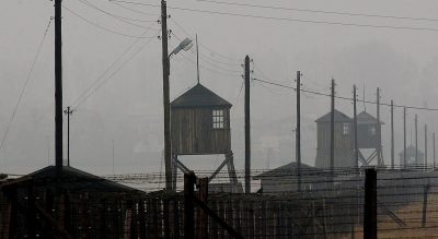 What They Saw: The Liberation Of Majdanek 70 Years Ago Today