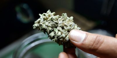 Medical Marijuana 101: What It's Like Inside A Colorado Dispensary