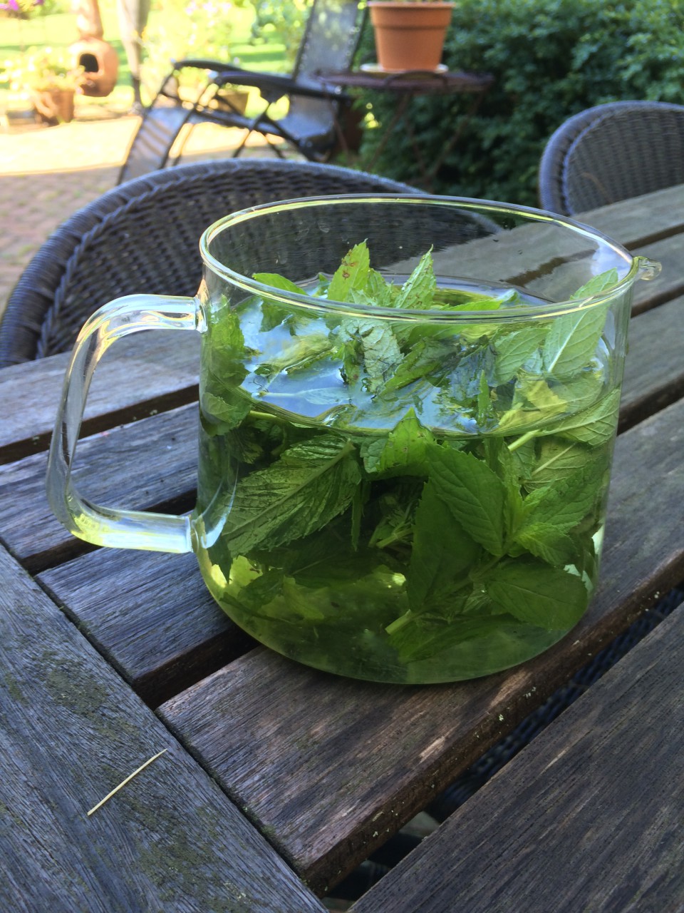 Gunst's refreshing sun tea recipe includes just mint leaves, summer sun, and time. (Kathy Gunst/WBUR)
