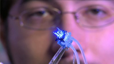 Brain Scientists Learn To Alter And Even Erase Memories