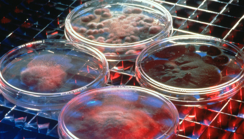 (Image credit: Pacific Northwest National Laboratory/Flickr)