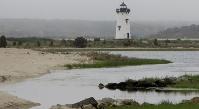 This Was Our Life: 50 Glorious Vineyard Summers