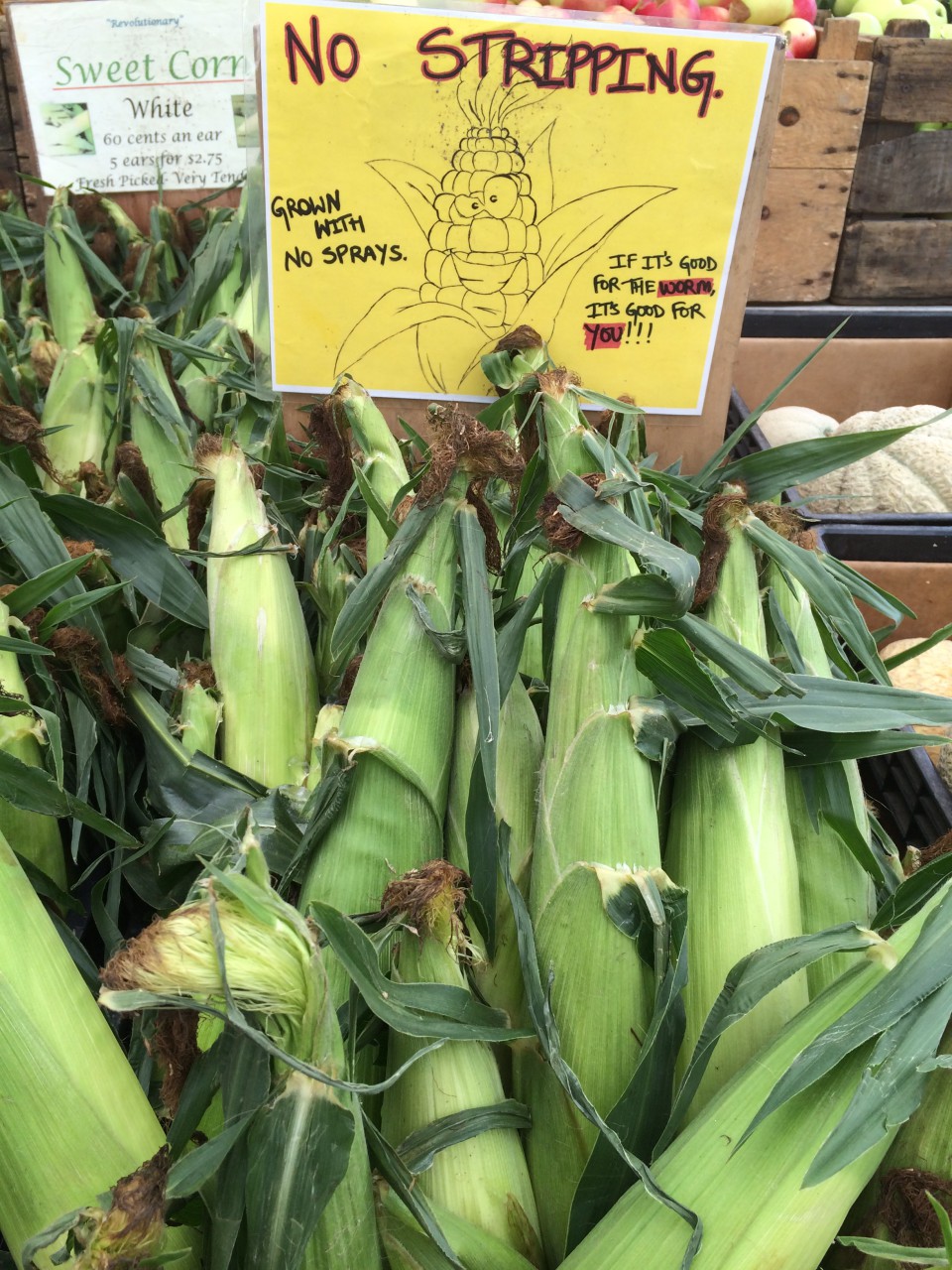 Kathy Gunst shops for farm-fresh sweet corn. (Kathy Gunst/Here &amp; Now)