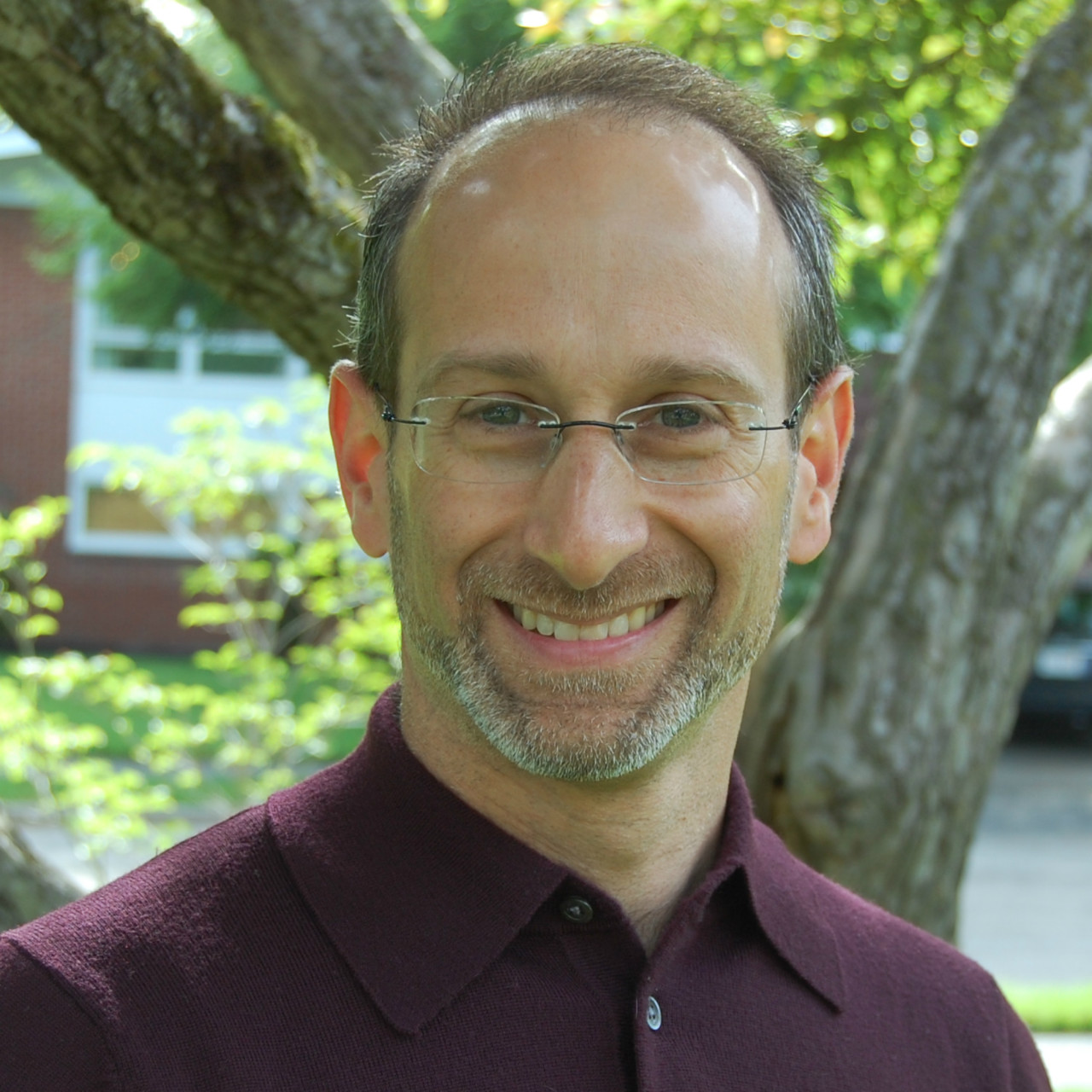 Headshot of David A. Kalis