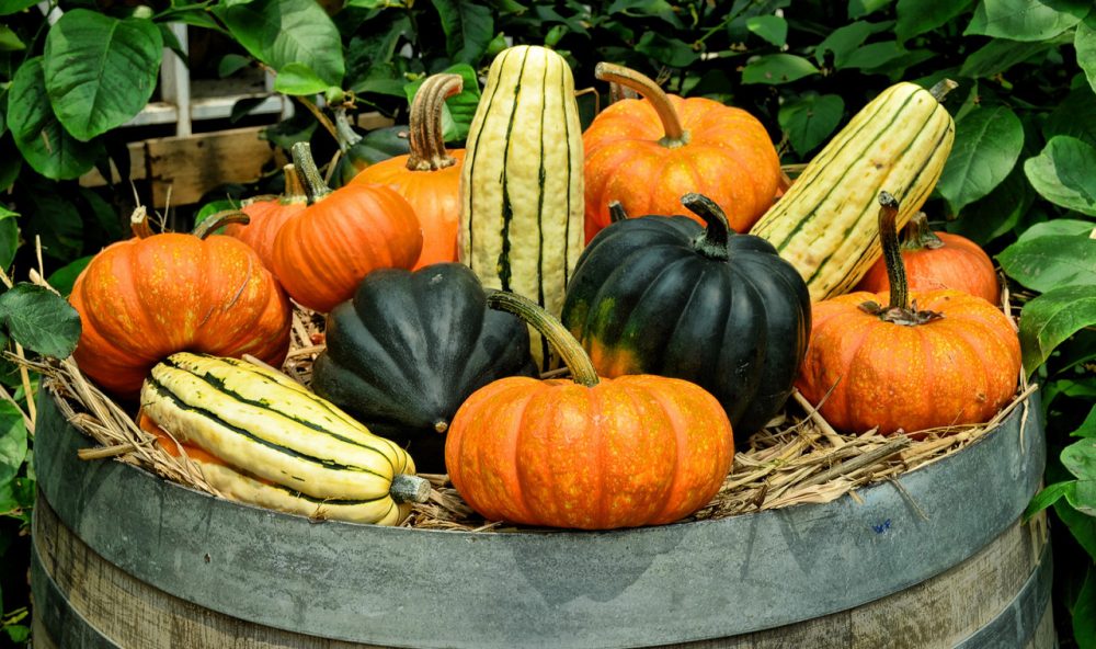 'Tis the season for winter squash. Kathy Gunst has a number of recipes and tips and a guide for tasting and selecting squash. (Choo Yug Shing/Flickr)