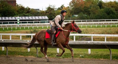 To The Races: Discovering Suffolk Downs Just In Time To Say Goodbye