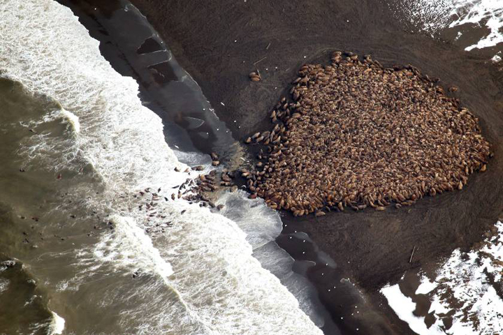 Our Week In The Web: October 3, 2014