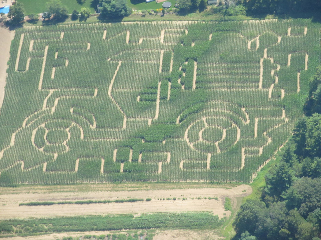 Flint Farm Stand's 4-acre maze in Mansfield. It's "based on one of Mr. Flint's old Ford pick-up trucks." (Courtesy)