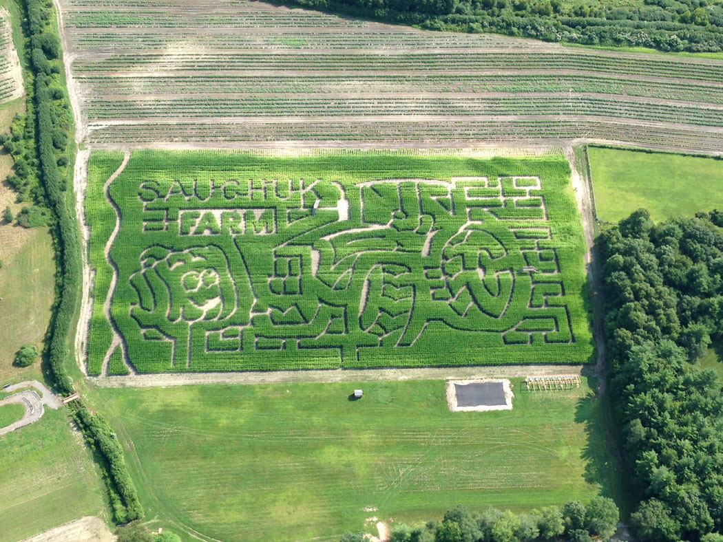 Sauchuk Farm's 6.5-acre corn maze as photographed from a helicopter by Scott Sauchuk in July. (Scott Sauchuk)