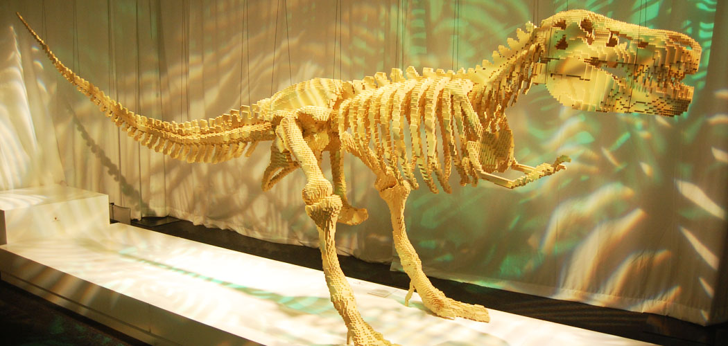 Sawaya's 20-foot-long T-Rex skeleton. (Greg Cook)