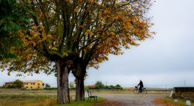 A Starker Beauty: Embracing The Autumn Of One's Life