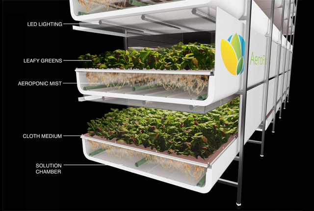 The process of aeroponic farming requires no sun and no pesticides, and AeroFarms say its plants need less space and water than in traditional farming. (AeroFarms)