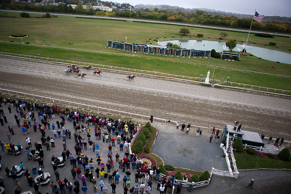 A bird’s-eye view of the day's fourth race as Dance for Zack runs ahead of the pack. (Jesse Costa/WBUR)