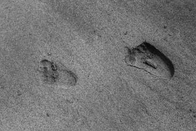 Project Louise: The Project Ends Now ... But It Lasts A Lifetime