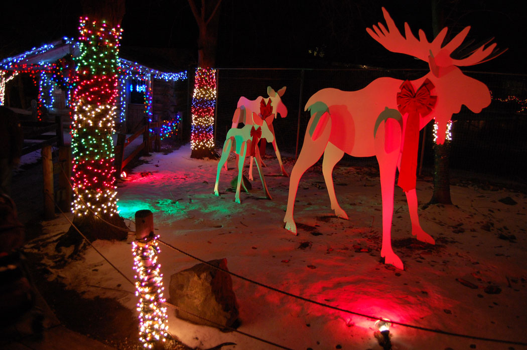 ZooLights” at Stone Zoo. (Greg Cook)