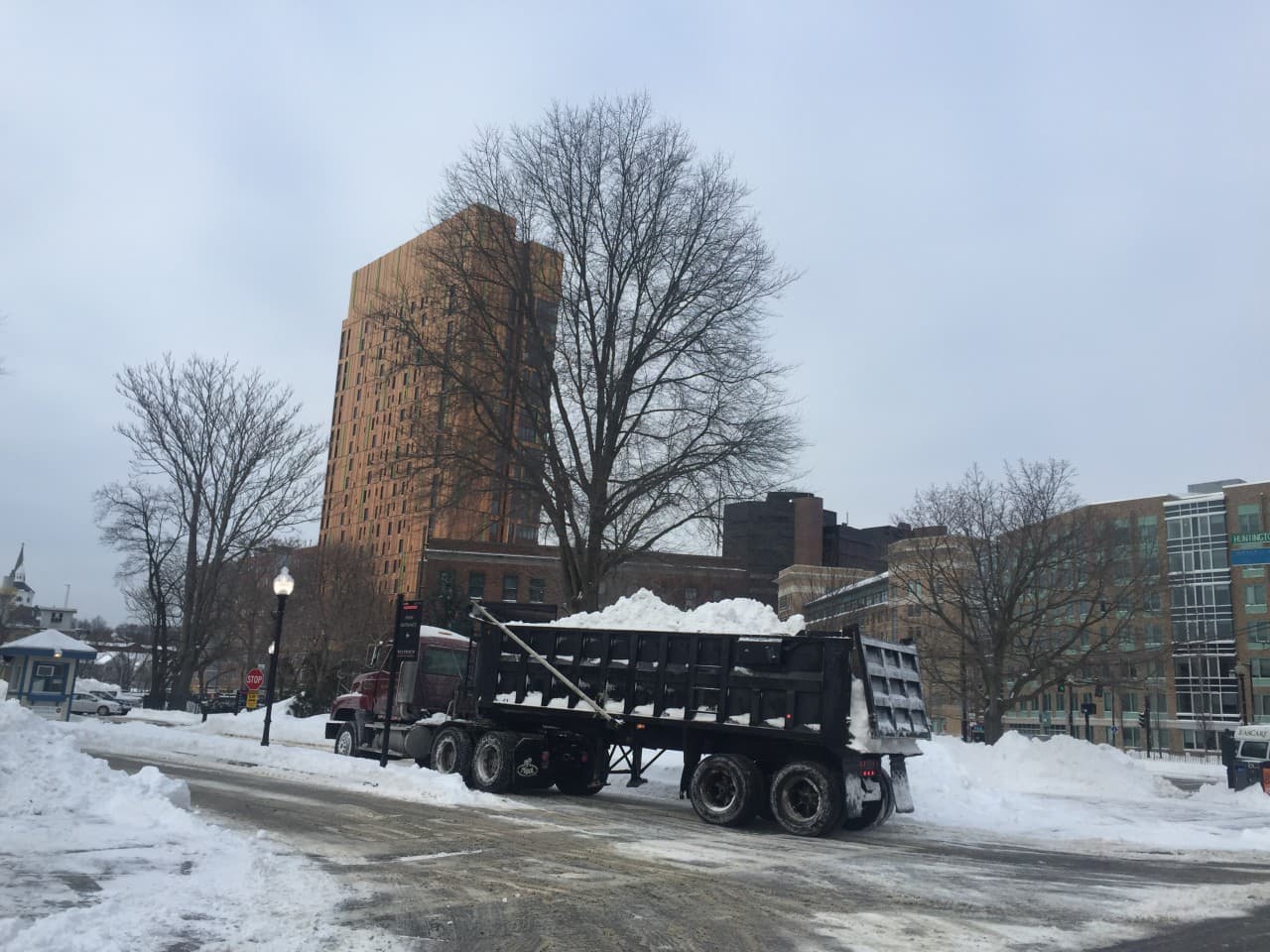 A dump truck carries snow to a "snow farm." Bostonians may be struggling with where to put the more than two feet of snow that accumulated during the storm. (Delores Handy/WBUR)