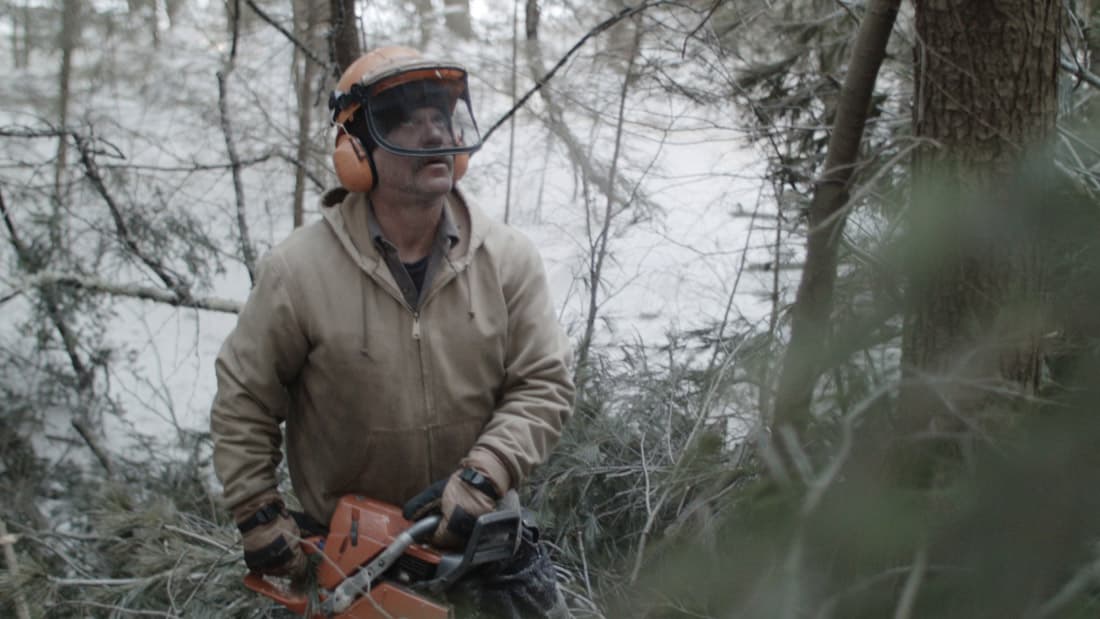 Berkshires logger Bob Tarasuk plays a version of himself in "Bob and The Trees." ICourtesy, Sundance Institute)