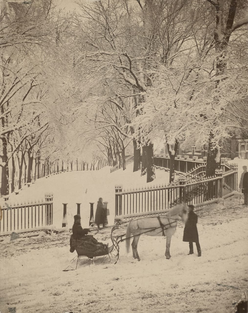 A horse-drawn sleigh pauses in the foreground of "Snow Scene on the Northeast Corner of the Boston Common” from around 1875 by the celebrated Boston photographer Josiah Johnson Hawes. (Museum of Fine Arts, Boston)