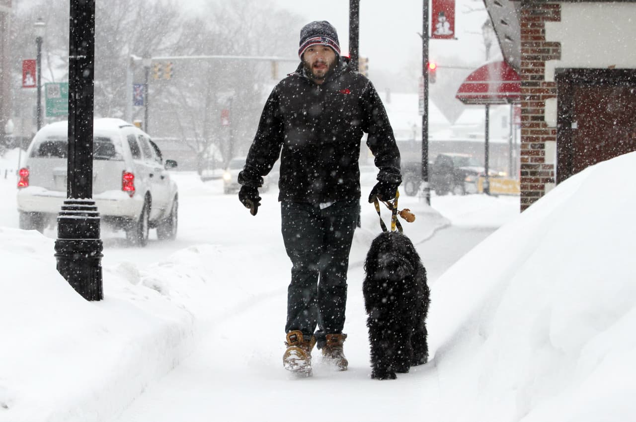 Alex Desrochers walks his dog Scrum in Marlborough Monday. (Bill Sikes/AP)