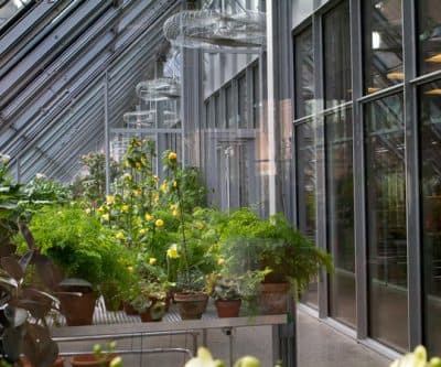 Boston's Gardner Museum Is Offering Free Admission Thursday