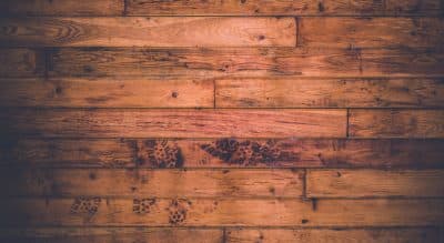 In A Darkened House, A Disaster Without A Cure