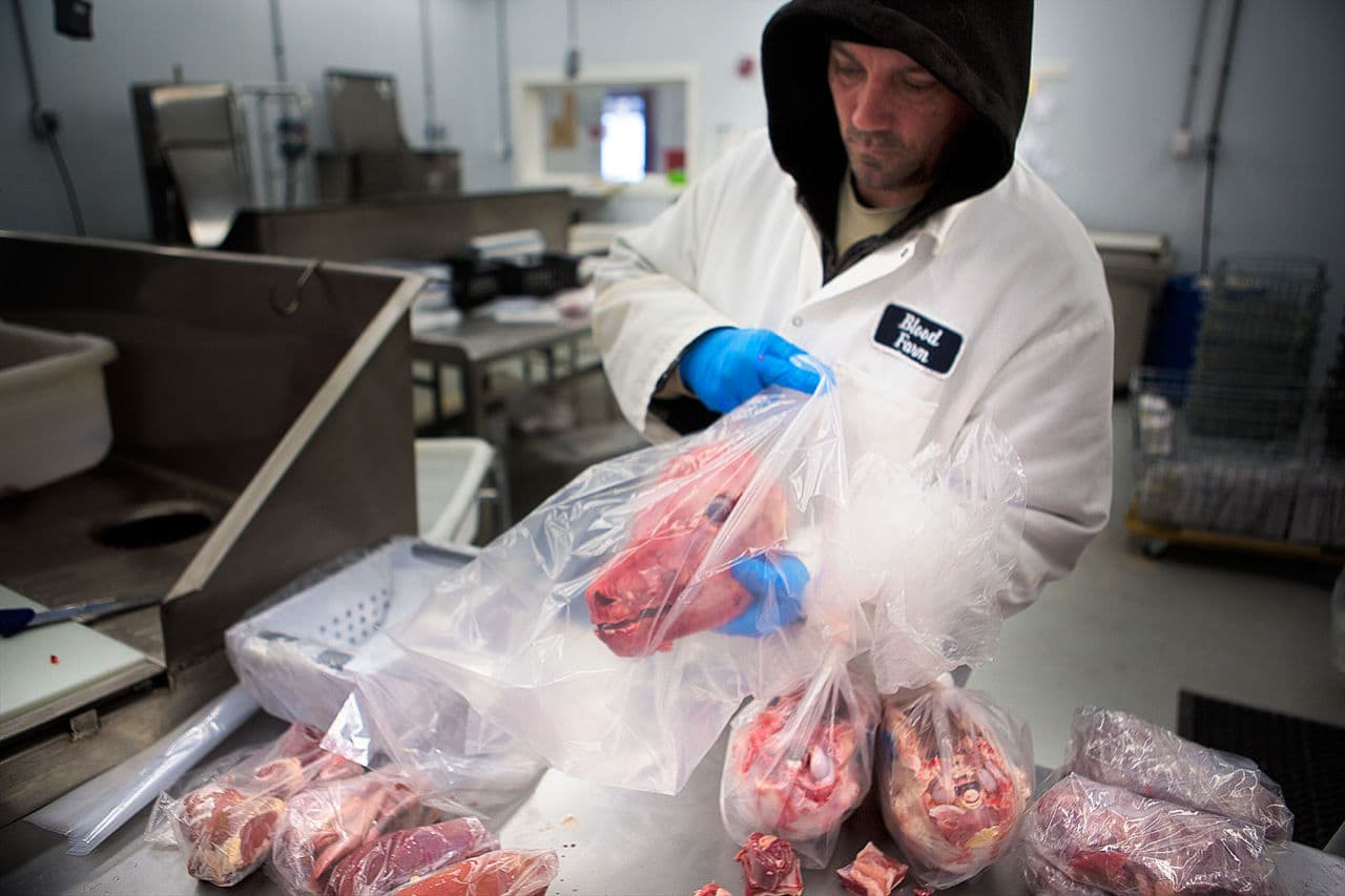 Jon Sutton bags up veal heads, typically used for soup stocks at restaurants. (Jesse Costa/WBUR)