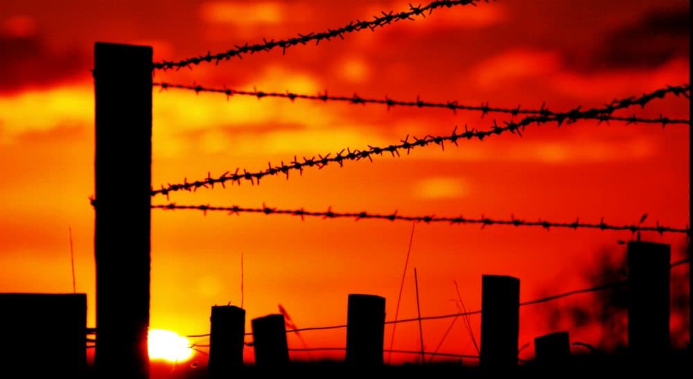 A daughter remembers her father's long, full life and the war that almost took it. (Sarah Macmillan/flickr)