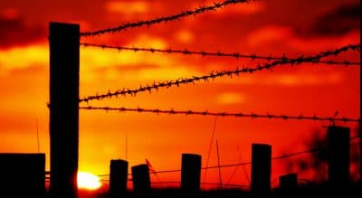 The Dark Of A War's Long Shadow, The Light Of A Veteran's Long Life