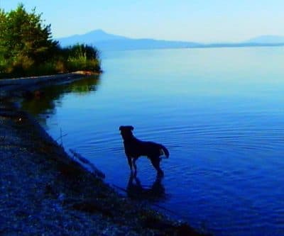 Jean-Luc Godard Says 'Goodbye To Language' — In  3D, No Less