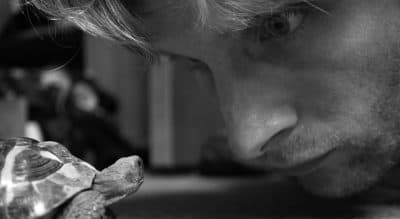 What Is Behind The Power Of A Stare?