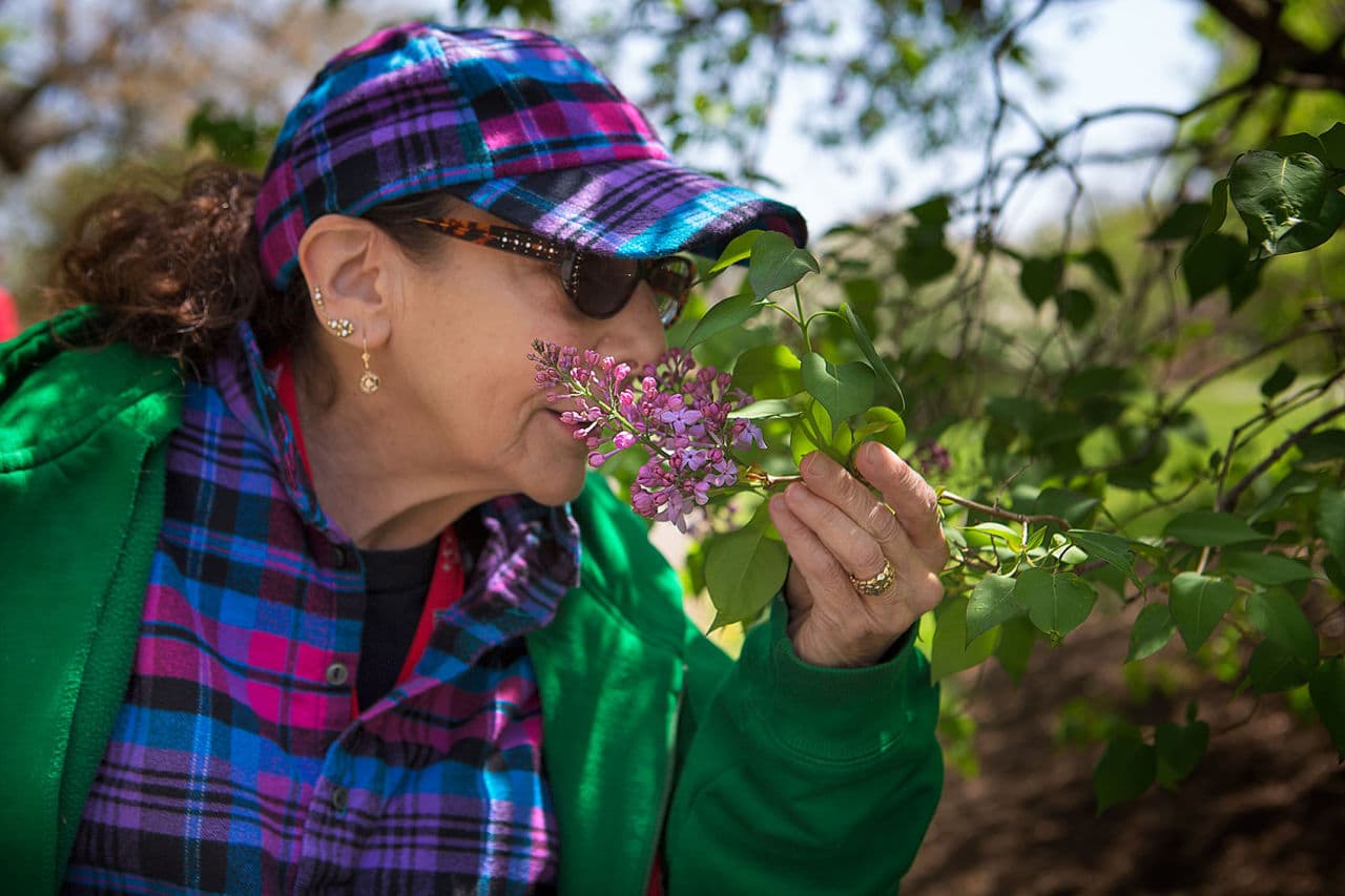 Elizabeth Ryan, of Boston, smells the flowers. (Jesse Costa/WBUR)