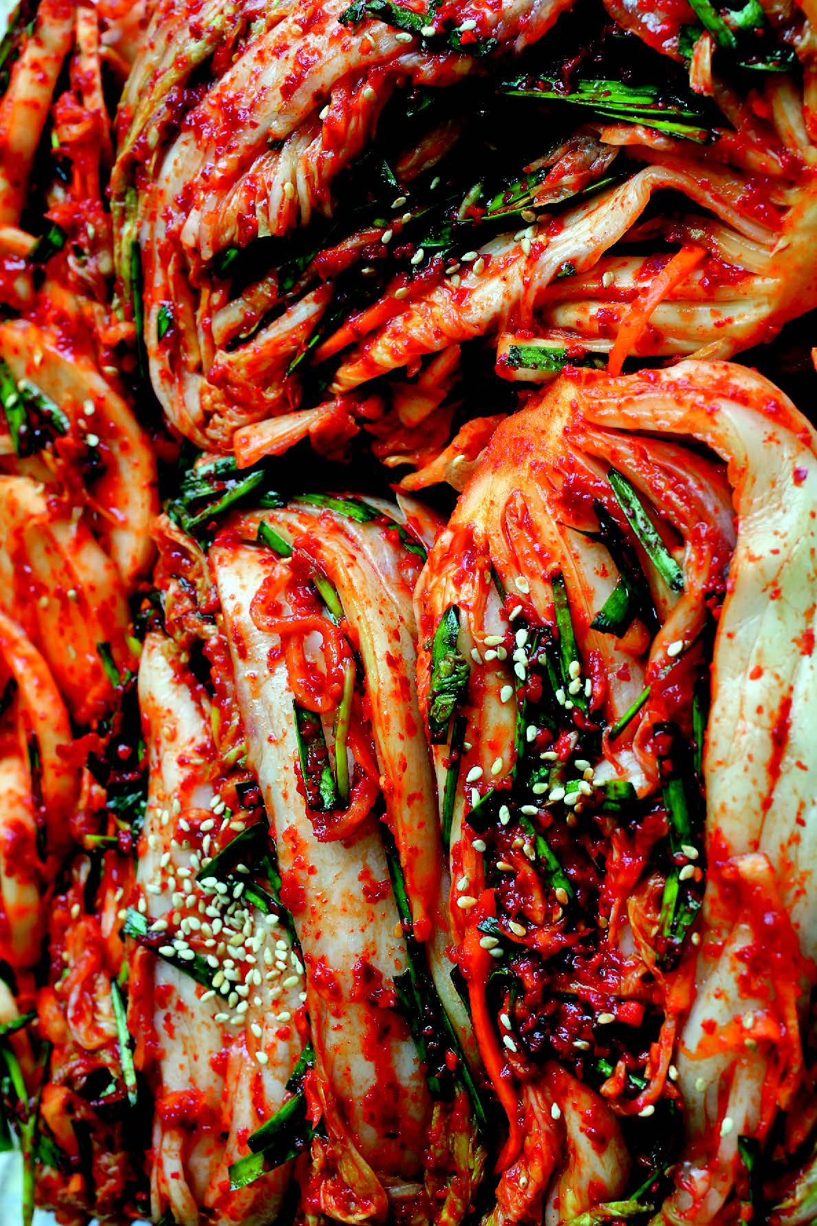 Mangchi's Napa Napa Cabbage Kimchi (Baechu-kimchi). (Photo © Maangchi)