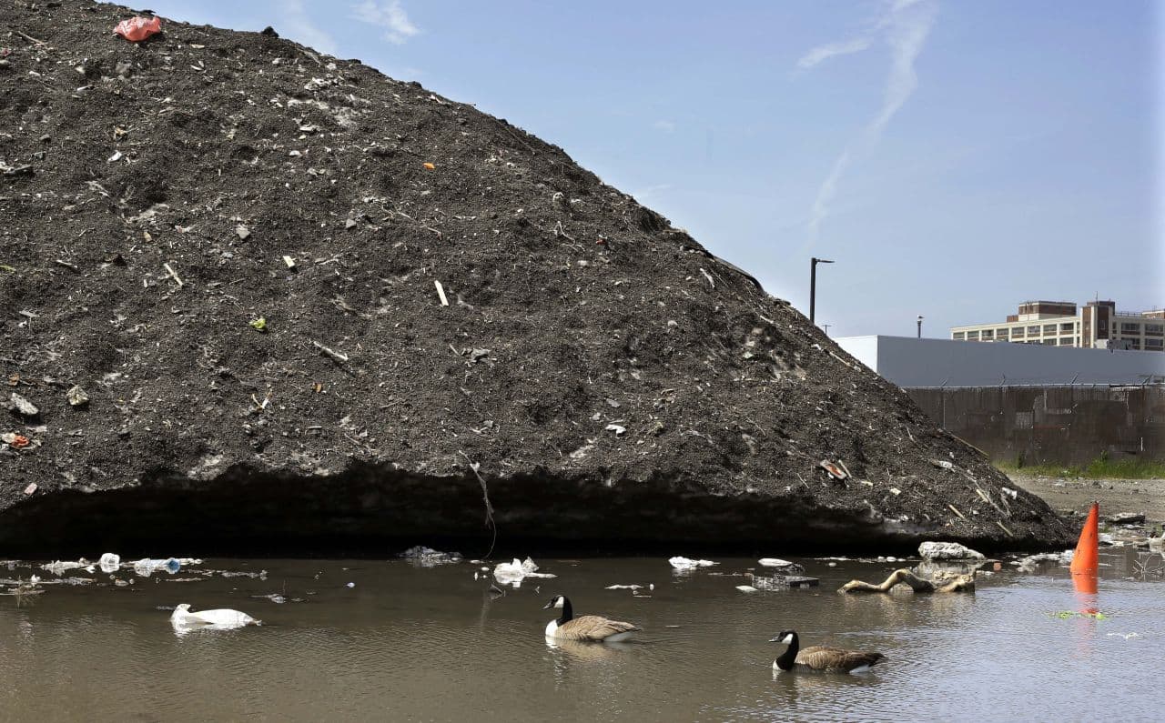 Canada geese swim beneath a debris-covered snow pile, lingering after the record-setting winter, Thursday, May 28, 2015, the Seaport District in Boston. (Elise Amendola/AP)