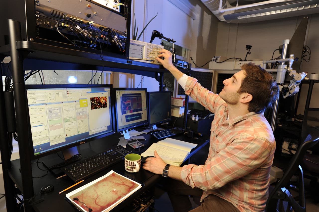 Dan Polley's research laboratory at Mass. Eye and Ear focuses on the mechanisms that allows auditory processing centers in the brain to recover function after damage to the cochlea. Here, Dr. Polley adjusts the setting on equipment that allows him to stimulate key regions of the brain and measure neural activity. (Courtesy of Eric Antoniou/Mass Eye and Ear Infirmary)