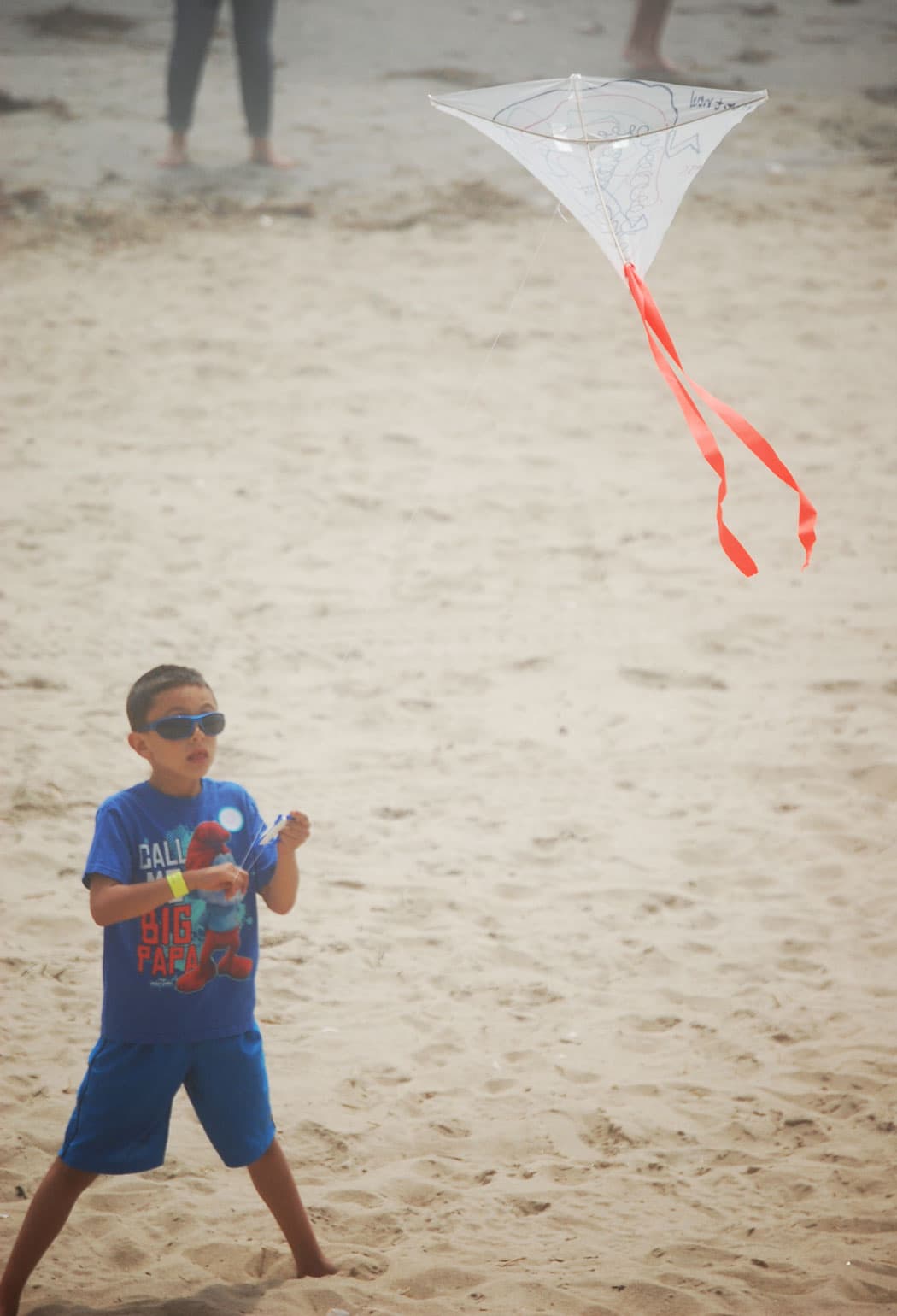 The Revere Beach Kite Festival. (Greg Cook)