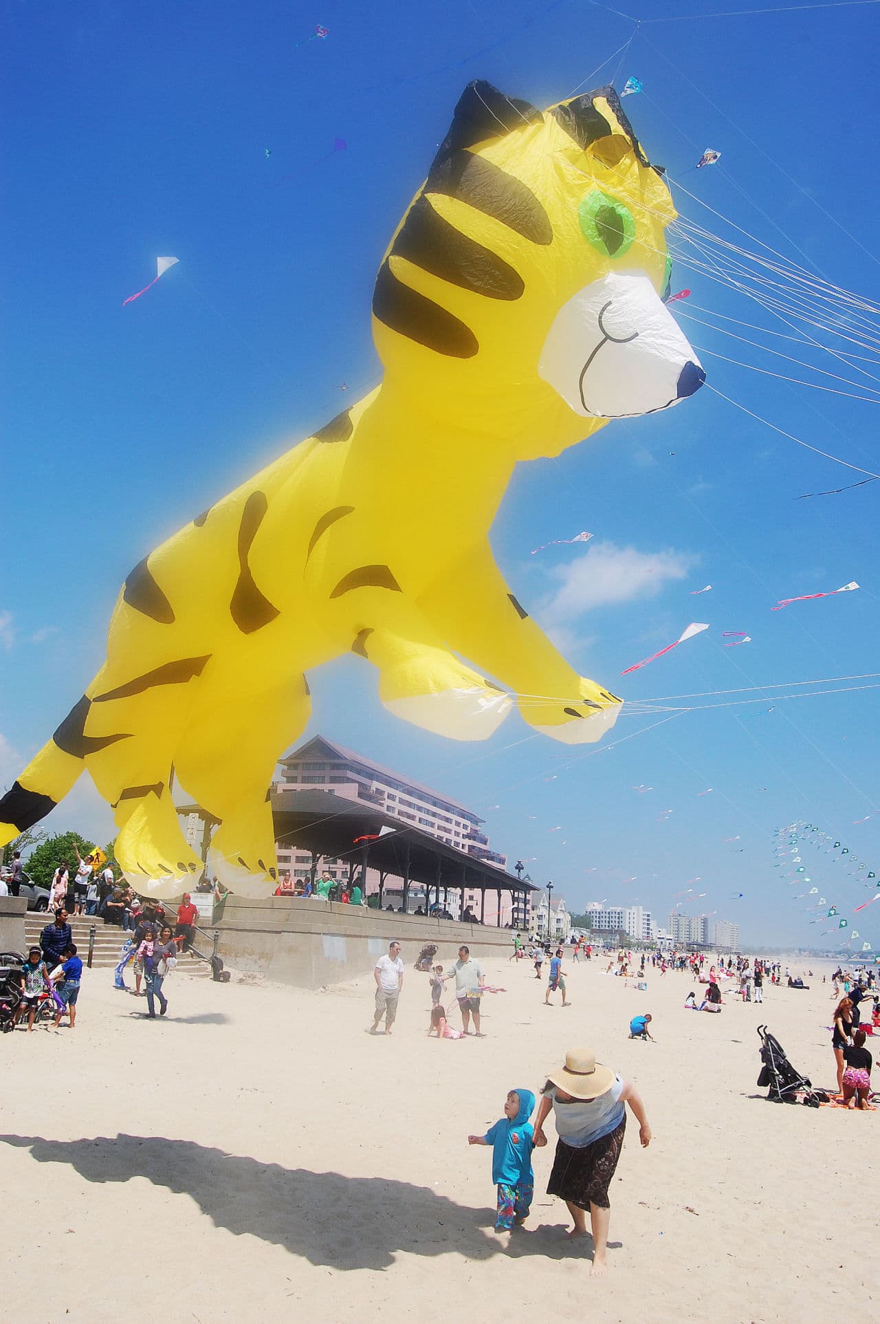 Tiger kite at Revere Beach Kite Festival. (Greg Cook)
