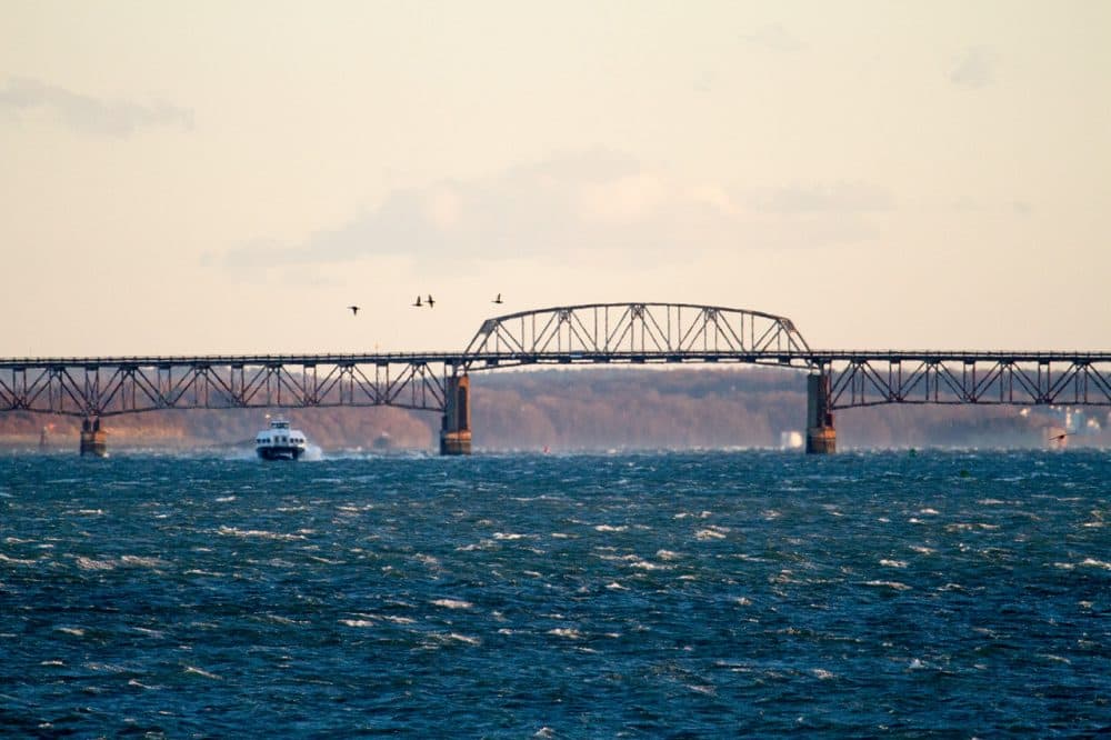 The Long Island bridge is seen in January, months after it was closed. It has since been demolished.  (Jesse Costa/WBUR)