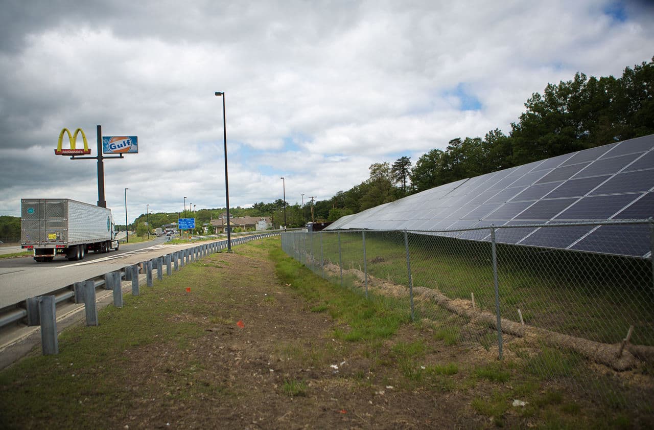 Solar panels are seen beside the Mass Pike in Framingham. (Jesse Costa/WBUR)