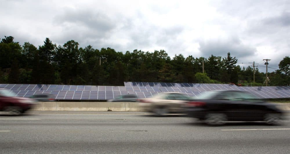 Solar panels are seen beside the Mass Pike in Natick on Wednesday. (Jesse Costa/WBUR)