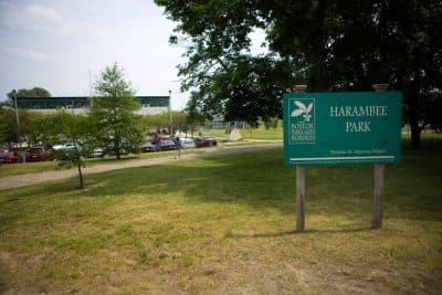 In Dorchester's Harambee Park, Olympic Bid Failure Seen As Missed Opportunity