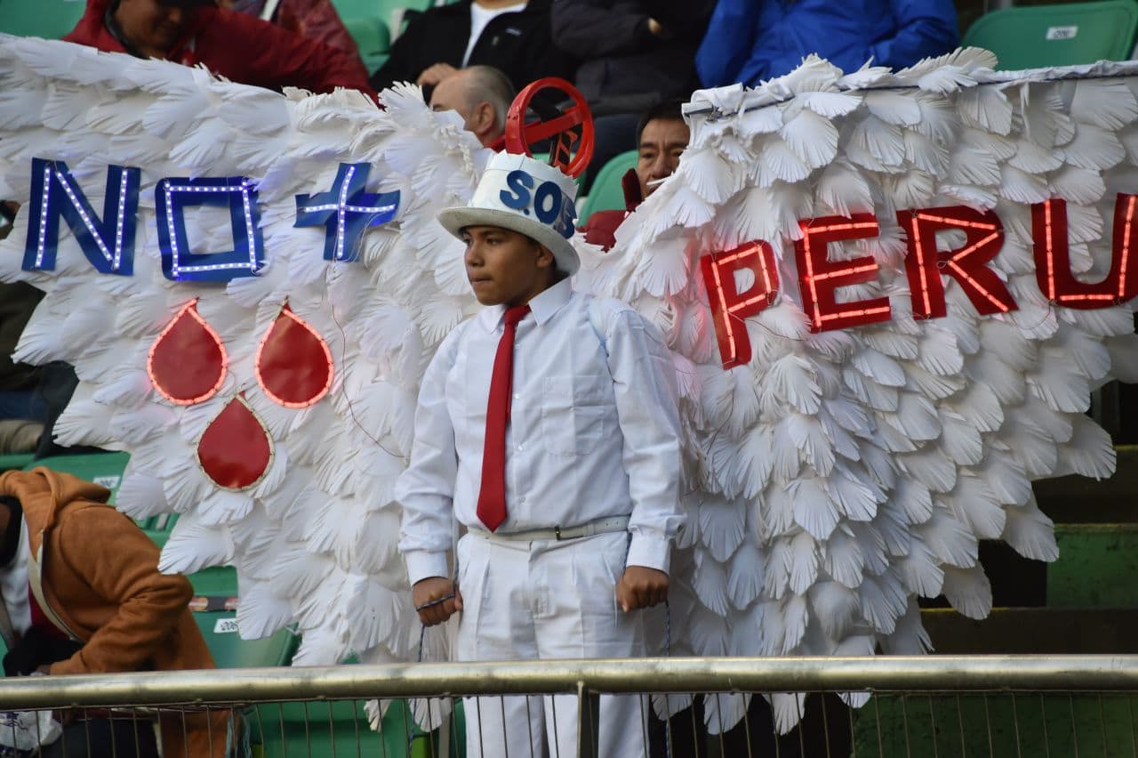 A supporter of Peru. (Nelson Almeida/AFP/Getty Images)