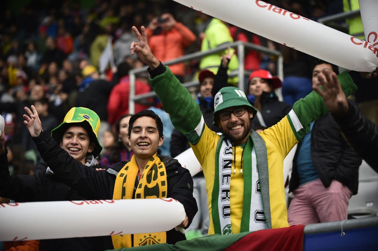 Fans of Brazil cheer at the Copa America. (Rodrigo BuendiaA/AFP/Getty Images)