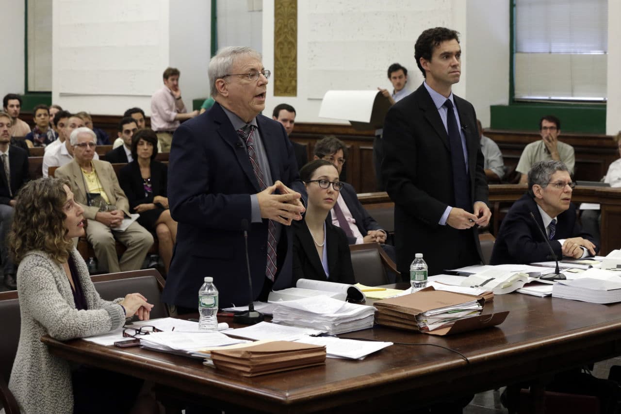 Steven Wise, president of the Nonhuman Rights Foundation, and Assistant Attorney General Christopher Coulston, standing left and right, appear in Manhattan State Supreme Court, in New York, Wednesday, May 27, 2015. (Richard Drew/AP)