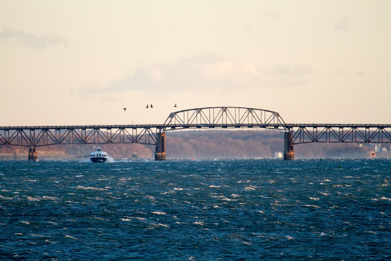 This year’s Boston homeless census was conducted four months after hundreds of homeless people were displaced from the city’s largest shelter, on Long Island in Boston Harbor, when the lone bridge to the island was shuttered in October due to safety concerns. (Jesse Costa/WBUR)