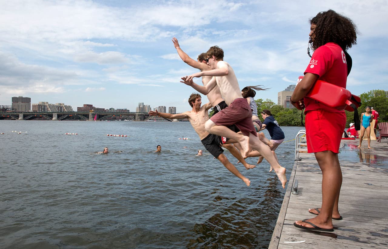About 200 swimmers took part in the Charles River swim, hosted by the Charles River Conservancy. (Robin Lubbock/WBUR)