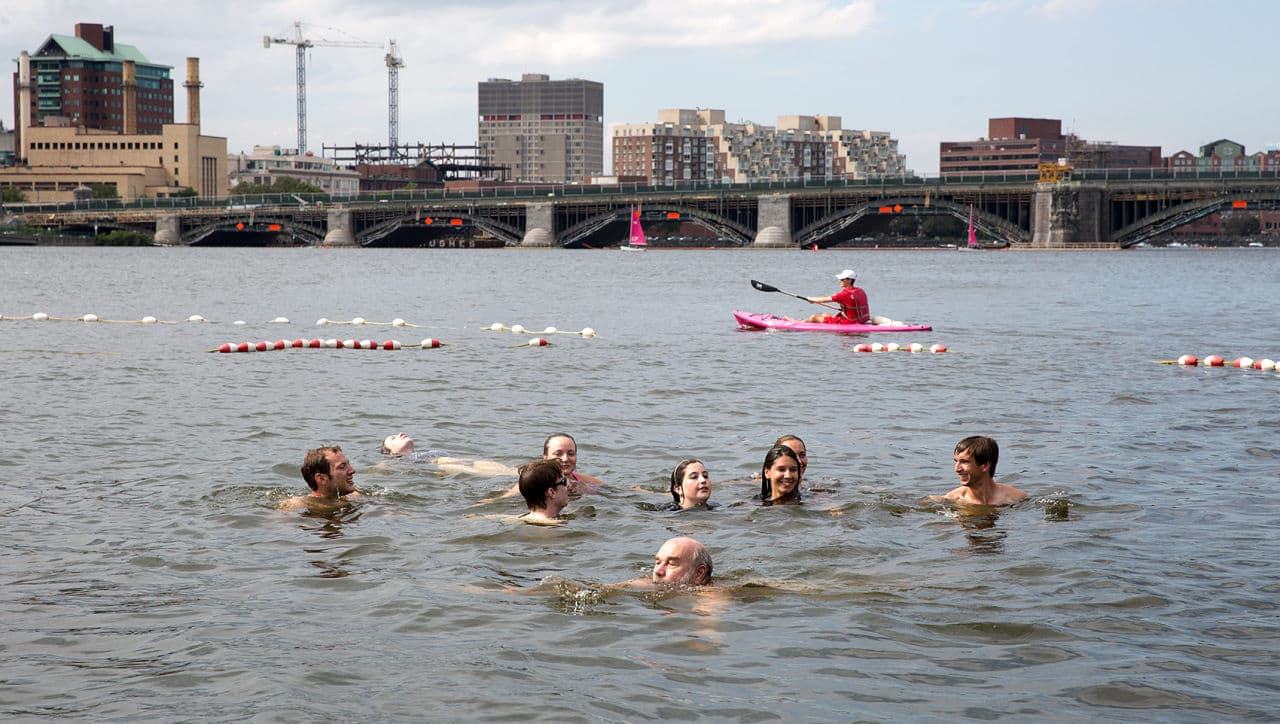 Swimmers enjoying a quiet moment in the Charles as a lifeguard looks on from a kayak. (Robin Lubbock/WBUR)