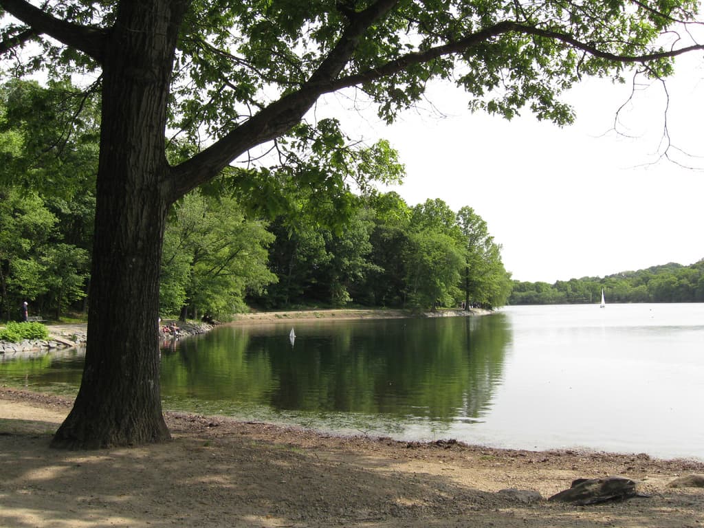 Jamaica Pond is now closed to the public for the time-being due to an outbreak of potentially hazardous algae. (rene_beignet/flickr)