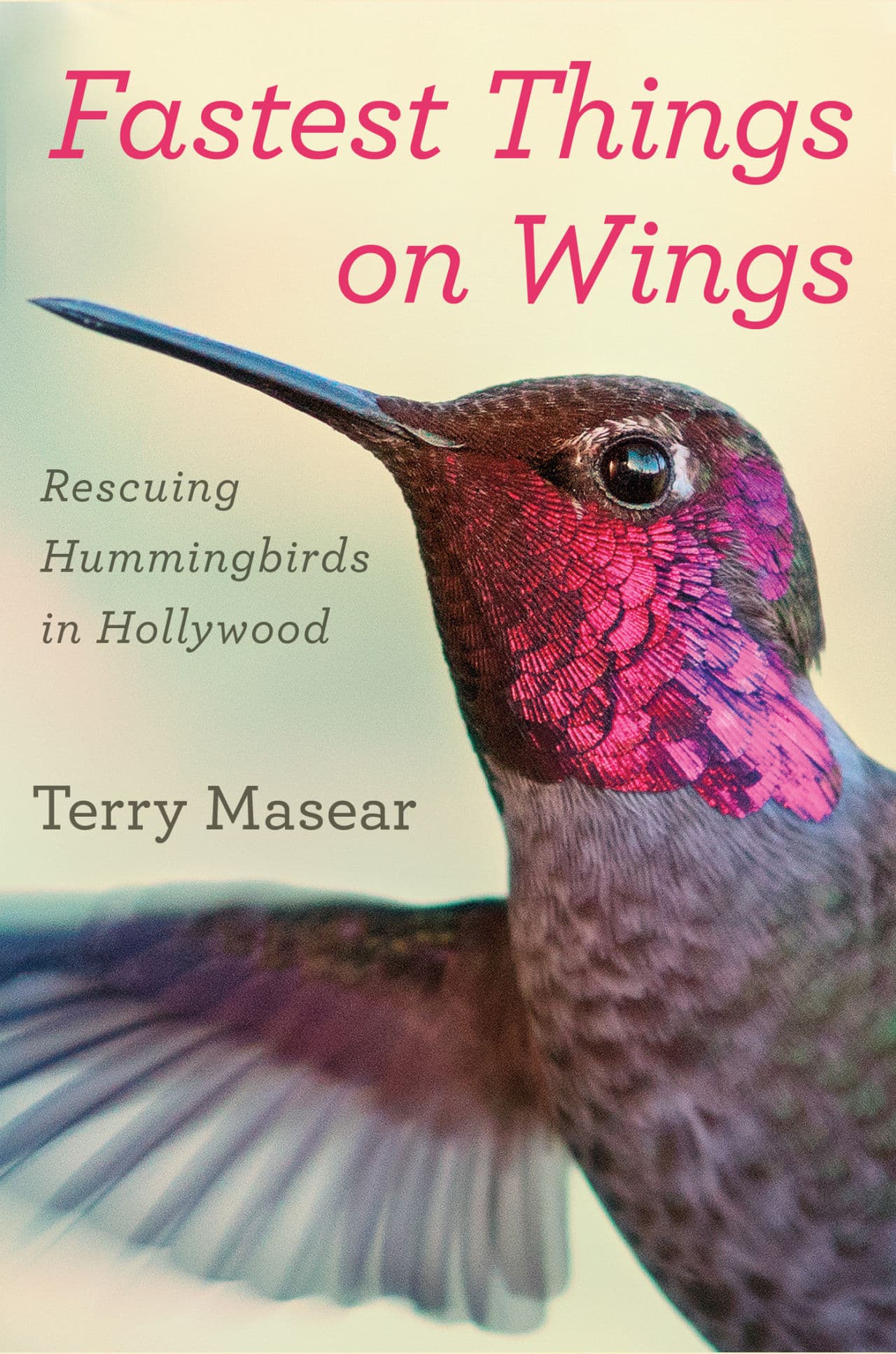 Fastest Things On Wings, book cover
