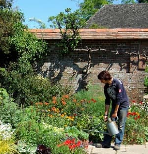 The Key To Gardening Without Blowing Out Your Back? It's Not What You Think